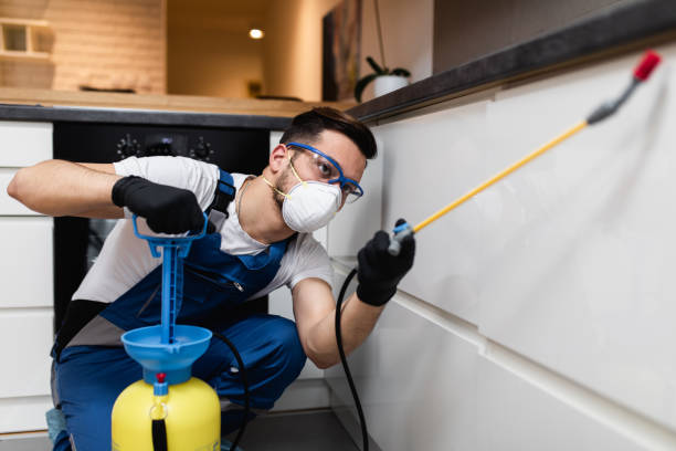 Best Rat Extermination Near Me  in Bayville, NY