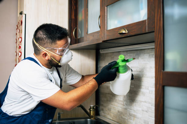 Best Flea Control Services  in Bayville, NY