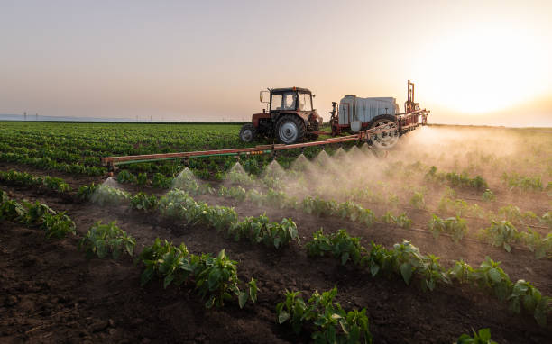 Best Commercial Pest Control Services  in Bayville, NY