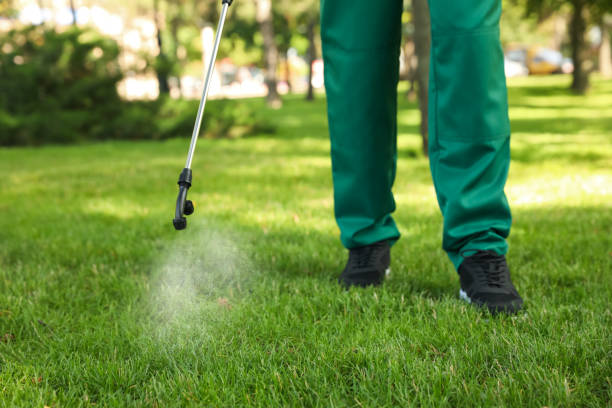Best Termite Control Services  in Bayville, NY