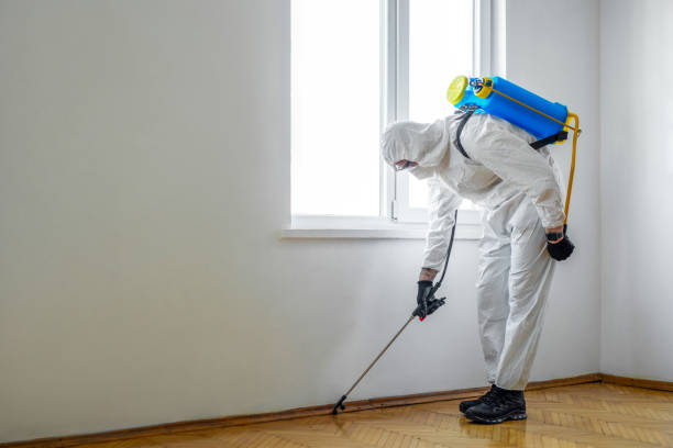 Best Wildlife Control Services  in Bayville, NY