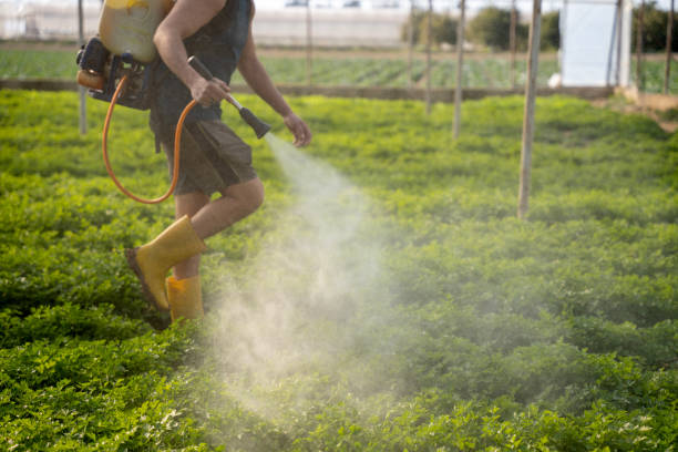 Best Affordable Pest Control Services  in Bayville, NY