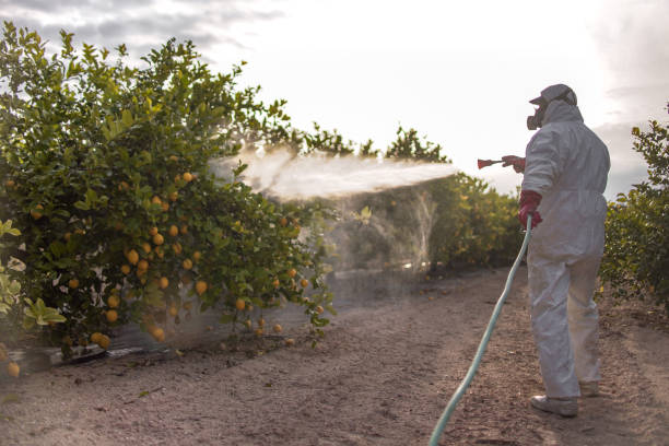 Best Best Pest Control Companies  in Bayville, NY