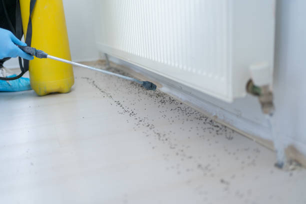 Best Commercial Pest Control Services  in Bayville, NY