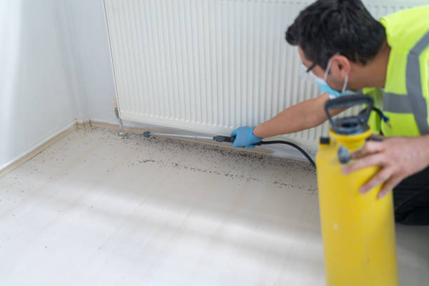 Best Bed Bug Extermination  in Bayville, NY