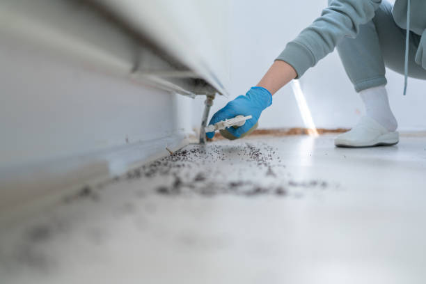 Best Affordable Pest Control Services  in Bayville, NY